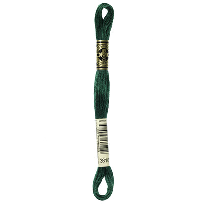 DMC Embroidery Floss (3)