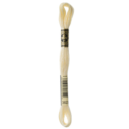 DMC Embroidery Floss (3)