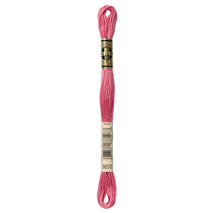 DMC Embroidery Floss (3)