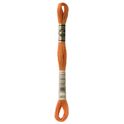 DMC Embroidery Floss (3)