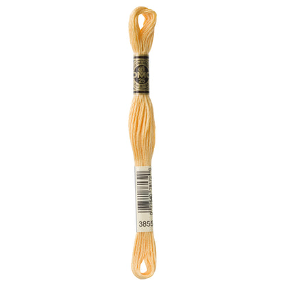 DMC Embroidery Floss (3)