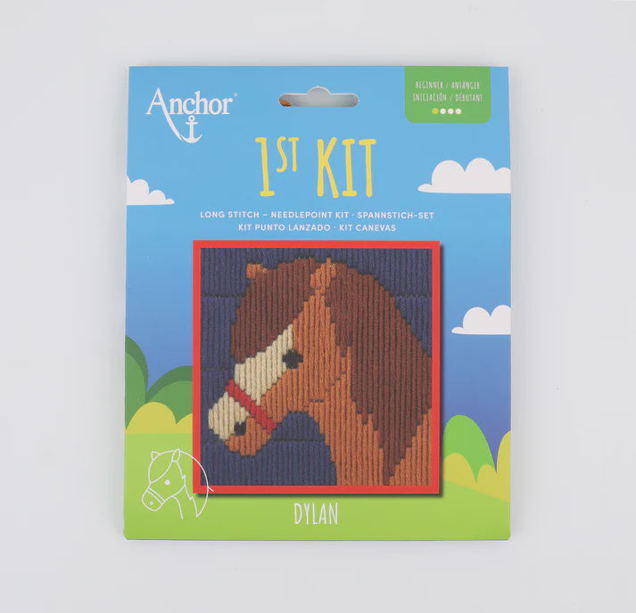 Anchor 1st Long Stitch Kit - Dylan
