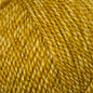 Stylecraft Special DK -2194 Honey Mix