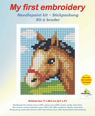 Embroidery Kit: Horse