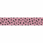 Dalmation Ribbon 16mm - Pink