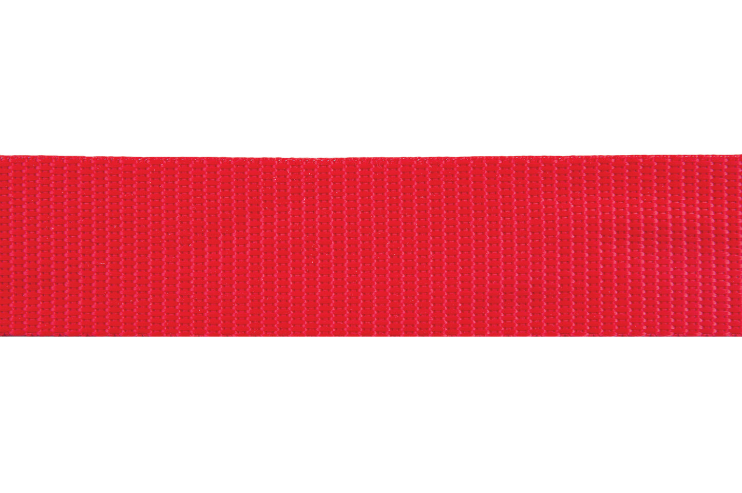 30mm Wide Poly-Webbing (7 Colours)